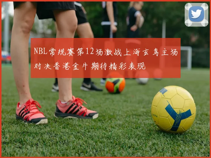 NBL常规赛第12场激战上海玄鸟主场对决香港金牛期待精彩表现