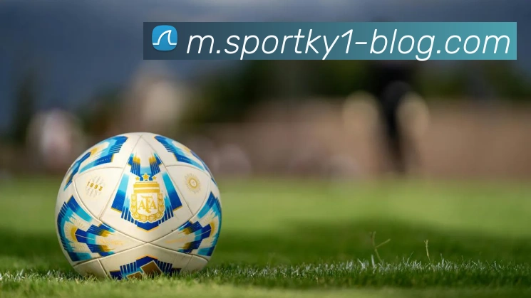 开云体育平台生态图