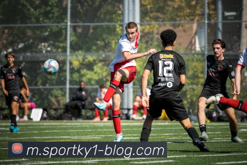 开云体育APP 封面图