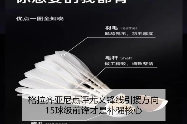 格拉齐亚尼点评尤文锋线引援方向 15球级前锋才是补强核心（kaiyun）